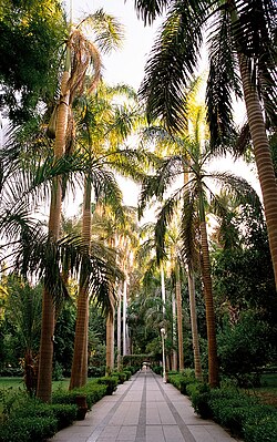 20th-century botanical garden on Kitchener's Island, Aswan, Egypt