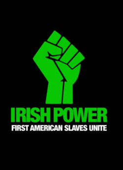 Meme image used by white nationalists in the US to perpetuate the Irish slaves myth[61]