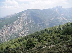Mount Lebanon is a mountain range in Lebanon. It averages above 2,500 m (8,200 ft) in elevation.