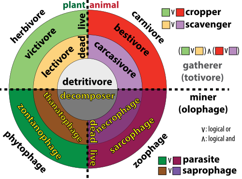 Wayne Getz's consumer categories are based on material eaten (plant: green live, brown dead; animal: red live, purple dead; or particulate: grey) and feeding strategy (gatherer: lighter shades; miner: darker shades).[4]