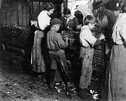 Child laborers in Bluffton, South Carolina, 1913
