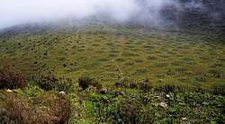 Palsas (heaving of organics-rich soils in discontinuous permafrost) may be found in alpine areas below Mugi Hill on Mount Kenya.