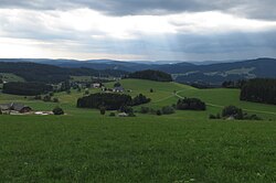 Woods and pastures of the High Black Forest near Breitnau