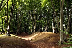 The ramparts of Ambresburg Banks hill fort