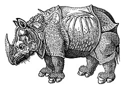 Dürer's Rhinoceros in Konrad Gessner's Historia Animalium, 1551