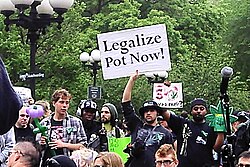 Pot, a common slang name for cannabis, on a sign at a 2012 cannabis rights demonstration in New York City