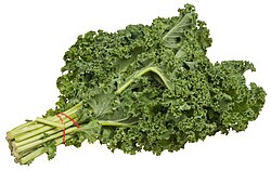 A bundle of curly-leaf kale
