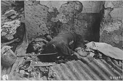 A Filipino woman and child killed by Japanese troops in Manila, 1945