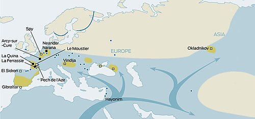 Expansion of early modern humans from Africa