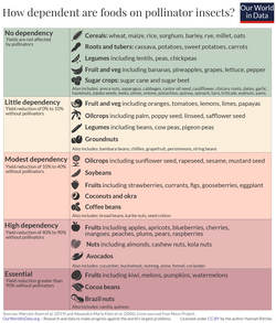 What crops are dependent on pollinators?
