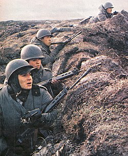 Argentine soldiers with FN FAL rifles, Falklands War