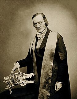 Owen in 1856 with the skull of a crocodile