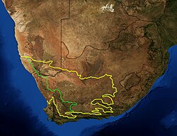 Two separate and independent Karoo biomes, or botanical regions, of South Africa bear the name Karoo: the Succulent Karoo to the west of green line, and the Nama Karoo to the east.