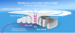Cross section of a mature tropical cyclone