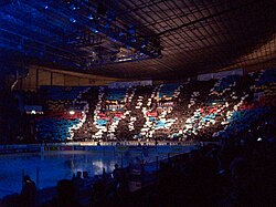 Tifo organized by Djurgårdens IF supporters at an ice hockey game