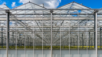 Greenhouses in the Westland region