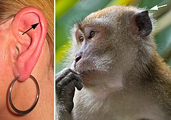 ภาพประกอบบทความ