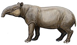 Giant tapir (Tapirus augustus) restoration