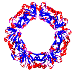 Decameric structure of AhpC, a bacterial 2-cysteine peroxiredoxin from Salmonella typhimurium[119]