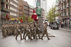 Logistic Regiment personnel, 2017