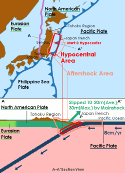 Mechanism of 2011 Tōhoku earthquake