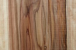 Plank cut from Cryptomeria japonica