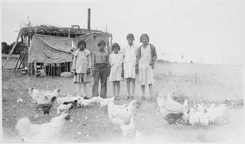 Children with their chickens, Standing Rock Agency (1947)