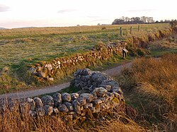Well of the Dead; modern remains of the park wall on the Jacobite right
