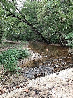 Whites Creek a small perennial stream in the Ozarks of southern Missouri