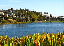 Del Rey Lagoon in Playa del Rey