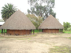 Model of Muisca housesArchaeology Museum of Sogamoso
