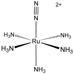 Structure of [Ru(NH3)5(N2)]2+ (pentaamine(dinitrogen)ruthenium(II)), the first dinitrogen complex to be discovered