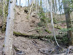 A landslide at Küsnachter Tobel, Switzerland