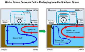 Since the 1970s, the upper cell of the circulation has strengthened, while the lower cell weakened.[89]