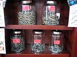 Sea cucumbers as traditional Chinese medicine
