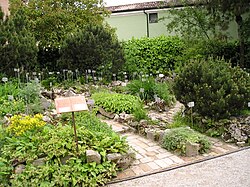Alpinum in Orto botanico di Padova, Italy