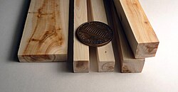 Juniperus communis wood pieces, with a U.S. penny for scale, showing the narrow growth rings of the species