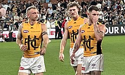 Hawthorn players wearing away colours in 2025. The club's home guernsey consists of vertical brown and gold stripes