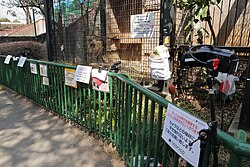 A camera live streaming at a zoo by Niconico