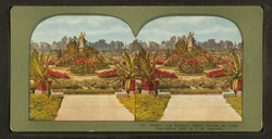 Stereoscopic view of statuary and flowers at Shaw's Garden by Truman Ward Ingersoll