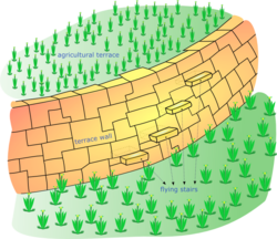Diagram showing Inca terrace engineering for agriculture.