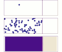 Diffusion from a microscopic and b macroscopic point of view. Initially, there are solute molecules on the left side of a barrier (purple line) and none on the right. The barrier is removed, and the solute diffuses to fill the whole container. Top: A single molecule moves around randomly. Middle: With more molecules, there is a statistical trend that the solute fills the container more and more uniformly. Bottom: With an enormous number of solute molecules, all randomness is gone: The solute appears to move smoothly and deterministically from high-concentration areas to low-concentration areas. There is no microscopic force pushing molecules rightward, but there appears to be one in the bottom panel. This apparent force is called an entropic force.