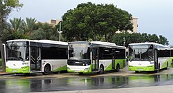 Maltese Otokar and King Long buses