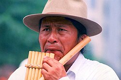 An Indigenous man playing a panpipe, antara, or siku