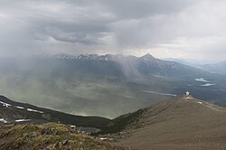 Pollen storm in Jasper National Park