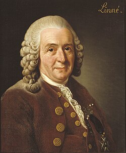 Carl Linnaeus (1707–1778), a Swedish botanist, physician, and zoologist, invented the modern system of binomial nomenclature.