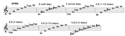 A step = a tone; a half step = a semitone