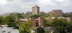 University of Tennessee in Knoxville, Tennessee