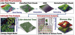 A typical workflow to derive forest information at individual tree or plot levels from lidar point clouds[106]