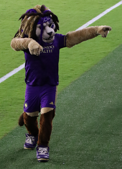 Kingston on the sideline during a match in 2024